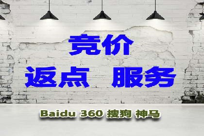 百度推广代运营公司：打造高效的网络营销团队